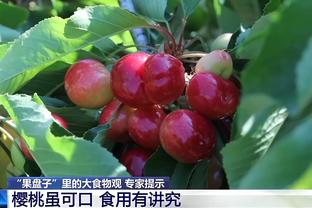 记者：水晶宫和森林有意日本国脚町田浩树，被要价1500万欧+浮动